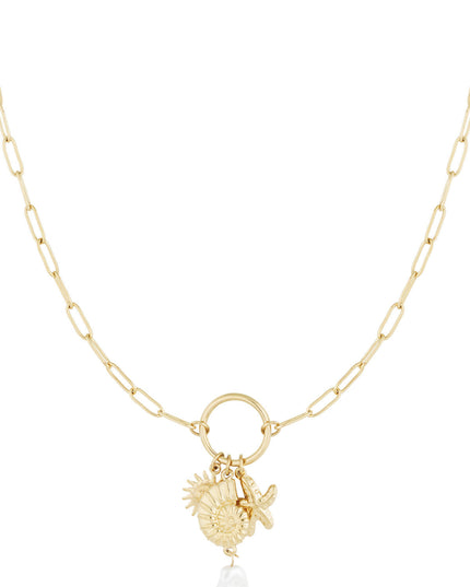 CORAL COAST KETTING
