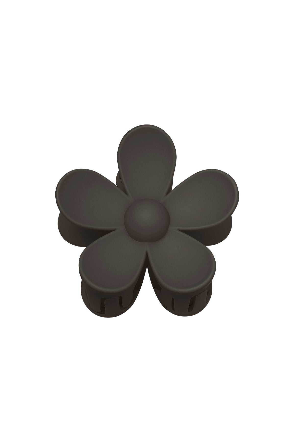 HAARSPELD | BLOEM