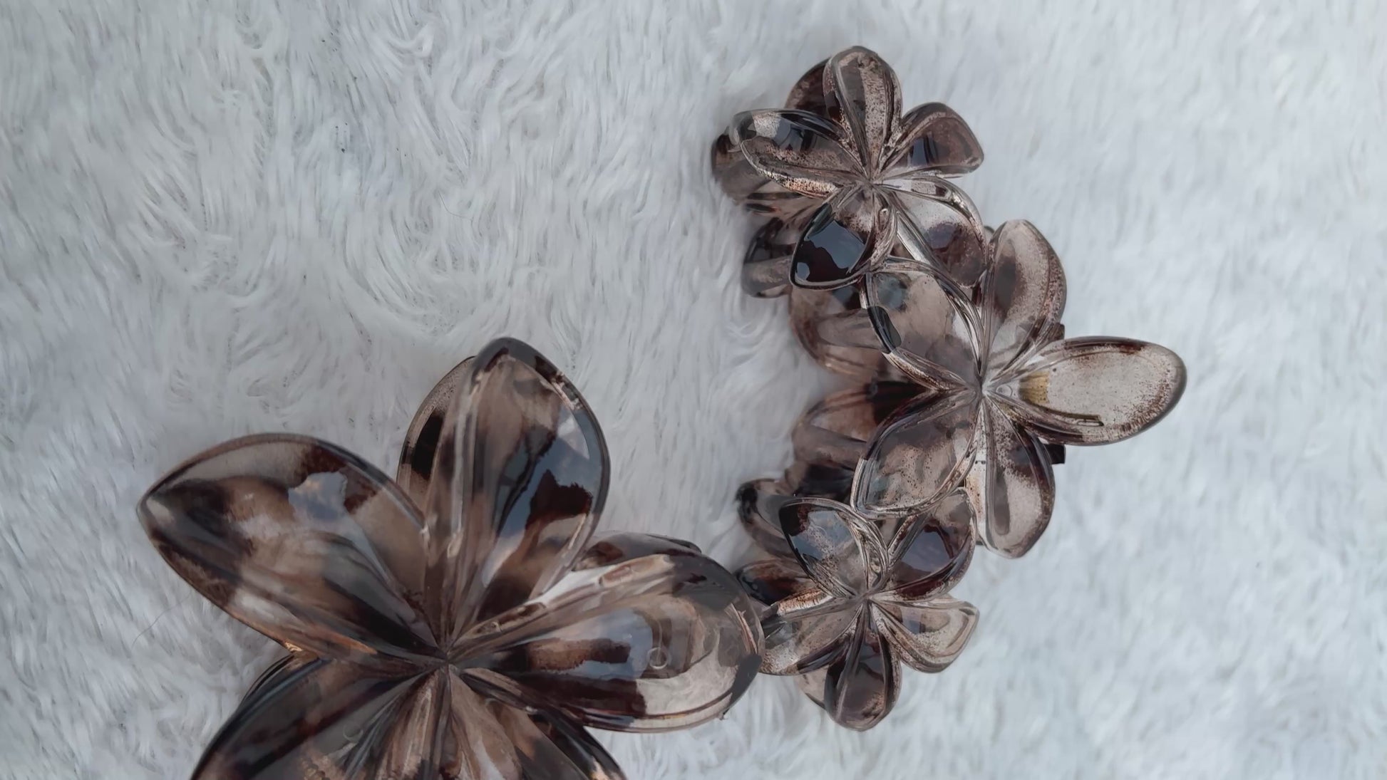 HAARSPELD BLOEMEN BRUIN
